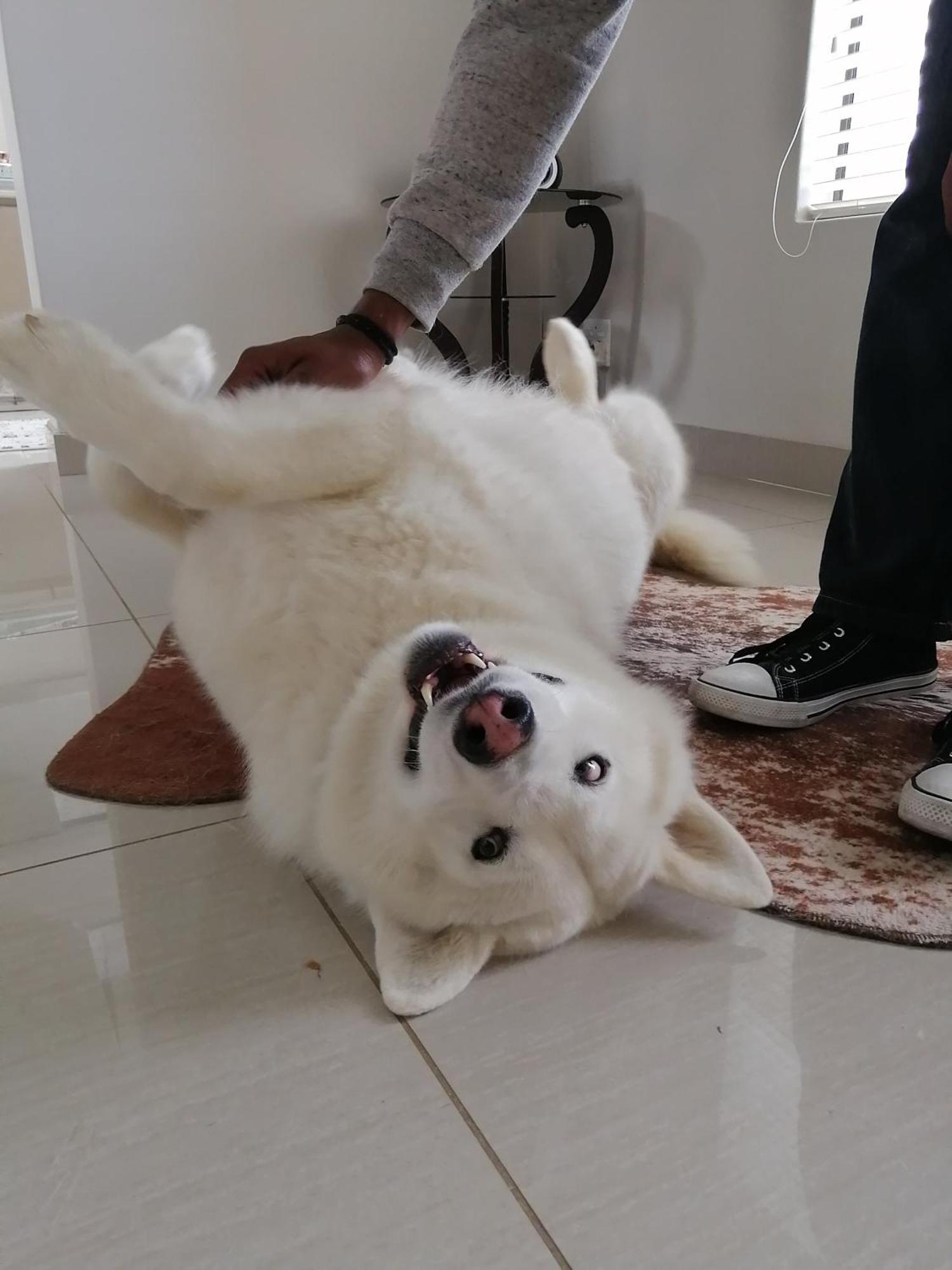 Jojo'S Bnb モーセル・ベイ エクステリア 写真